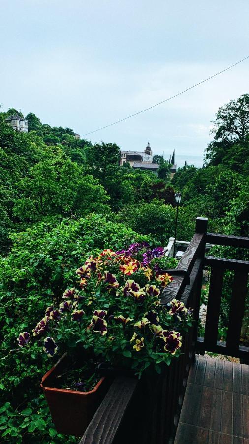 Guest House Chalet Agave กากรา ภายนอก รูปภาพ